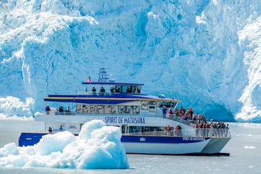 Kenai Fjords National Park full-day cruise